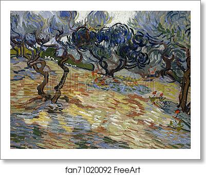 Free art print of Olive Trees by Vincent Van Gogh Free art print of Olive Trees by Vincent Van Gogh