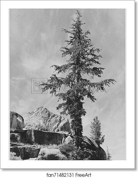 Free art print of An Unnamed peak, Kings River Canyon (Proposed as a national park), California, 1936. (vertical orientation).  Photographs of National Parks and Monuments, compiled 1941 - 1942, documenting the period ca. 1933 - 1942. by Ansel Adams (1902-1984)