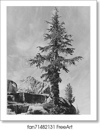 Free art print of An Unnamed peak, Kings River Canyon (Proposed as a national park), California, 1936. (vertical orientation). Photographs of National Parks and Monuments, compiled 1941 - 1942, documenting the period ca. 1933 - 1942. by Ansel Adams (1902-1984) Free art print of An Unnamed peak, Kings River Canyon (Proposed as a national park), California, 1936. (vertical orientation). Photographs of National Parks and Monuments, compiled 1941 - 1942, documenting the period ca. 1933 - 1942. by Ansel Adams (1902-1984)