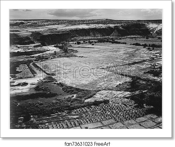 Free art print of Corn Field, Indian Farm near Tuba City, Arizona, in Rain, 1941.. Photographs of National Parks and Monuments, compiled 1941 - 1942, documenting the period ca. 1933 - 1942. by Ansel Adams (1902-1984) Free art print of Corn Field, Indian Farm near Tuba City, Arizona, in Rain, 1941.. Photographs of National Parks and Monuments, compiled 1941 - 1942, documenting the period ca. 1933 - 1942. by Ansel Adams (1902-1984)