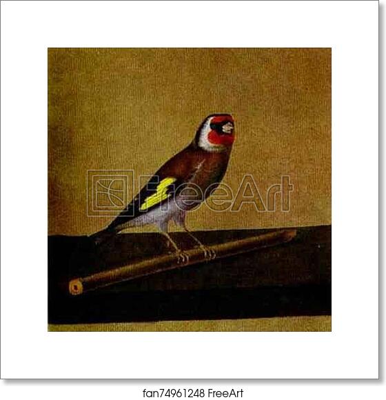 Free art print of A Bird by Count Feodor Tolstoy Free art print of A Bird by Count Feodor Tolstoy