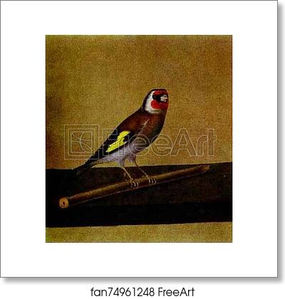 Free art print of A Bird by Count Feodor Tolstoy