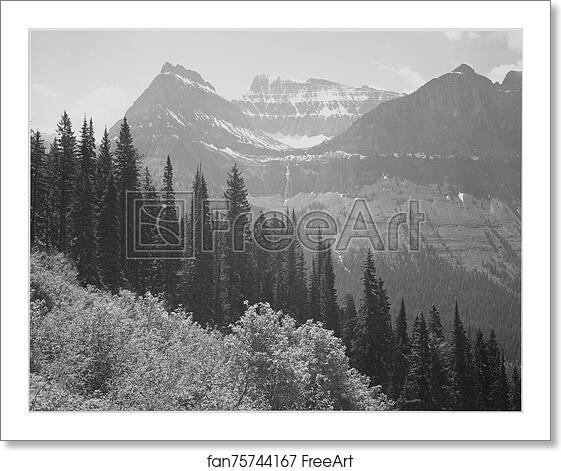Free art print of Trees and bushes in foreground, mountains in background, "In Glacier National Park," Montana.  Photographs of National Parks and Monuments, compiled 1941 - 1942, documenting the period ca. 1933 - 1942. by Ansel Adams (1902-1984)