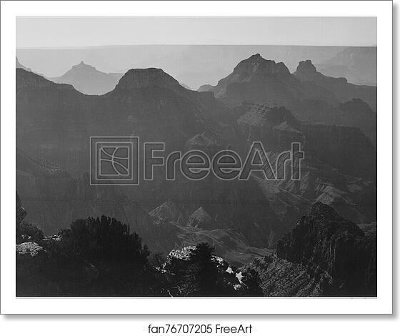Free art print of View with shrub detail in foreground, "Grand Canyon National Park," Arizona.  Photographs of National Parks and Monuments, compiled 1941 - 1942, documenting the period ca. 1933 - 1942. by Ansel Adams (1902-1984)