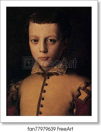 Free art print of Portrait of Ferdinando de'Medici by Agnolo Bronzino
