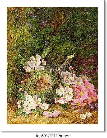 Free art print of Still Life of Flowers and Bird's Nest by George Clare Free art print of Still Life of Flowers and Bird's Nest by George Clare