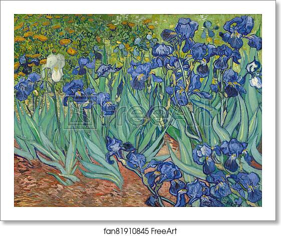 Free art print of Irises by Vincent Van Gogh