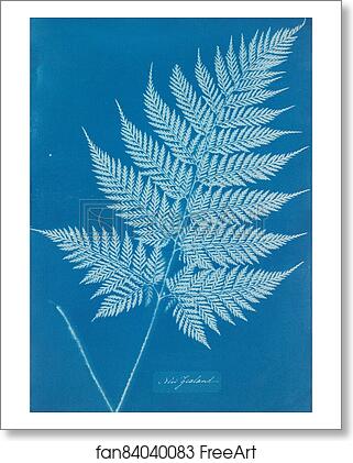 Free art print of New Zealand by Anna Atkins Free art print of New Zealand by Anna Atkins
