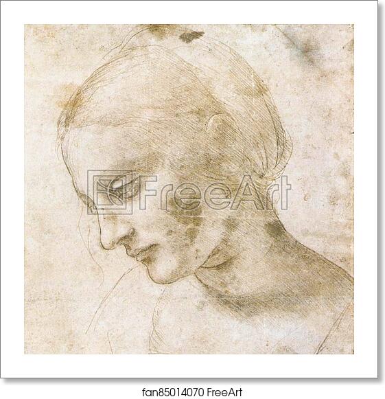 Free art print of Study of a woman's head by Leonardo Da Vinci Free art print of Study of a woman's head by Leonardo Da Vinci