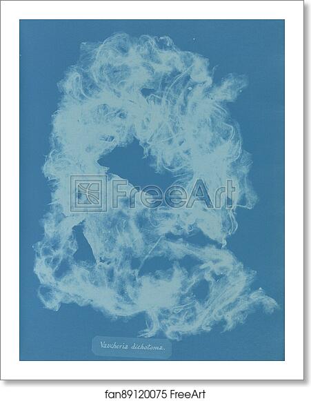 Free art print of Vaucheria dichotoma by Anna Atkins