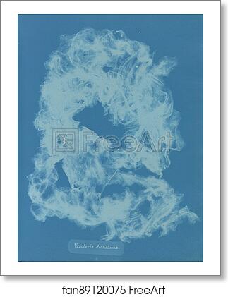 Free art print of Vaucheria dichotoma by Anna Atkins Free art print of Vaucheria dichotoma by Anna Atkins