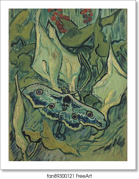 Free art print of Emperor moth by Vincent Van Gogh