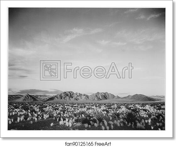 Free art print of Distant view of mountains, desert, shrubs highlighted in foreground, "Near Death Valley National Monument," California.  Photographs of National Parks and Monuments, compiled 1941 - 1942, documenting the period ca. 1933 - 1942. by Ansel Adams (1902-1984)