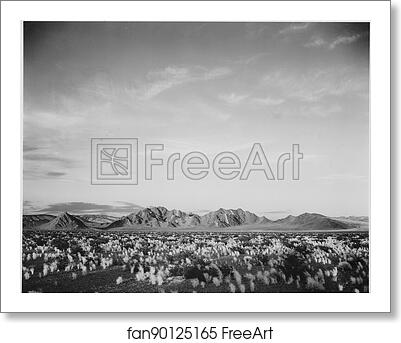 Free art print of Distant view of mountains, desert, shrubs highlighted in foreground, "Near Death Valley National Monument," California. Photographs of National Parks and Monuments, compiled 1941 - 1942, documenting the period ca. 1933 - 1942. by Ansel Adams (1902-1984) Free art print of Distant view of mountains, desert, shrubs highlighted in foreground, "Near Death Valley National Monument," California. Photographs of National Parks and Monuments, compiled 1941 - 1942, documenting the period ca. 1933 - 1942. by Ansel Adams (1902-1984)