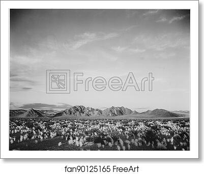 Free art print of Distant view of mountains, desert, shrubs highlighted in foreground, "Near Death Valley National Monument," California. Photographs of National Parks and Monuments, compiled 1941 - 1942, documenting the period ca. 1933 - 1942. by Ansel Adams (1902-1984) Free art print of Distant view of mountains, desert, shrubs highlighted in foreground, "Near Death Valley National Monument," California. Photographs of National Parks and Monuments, compiled 1941 - 1942, documenting the period ca. 1933 - 1942. by Ansel Adams (1902-1984)