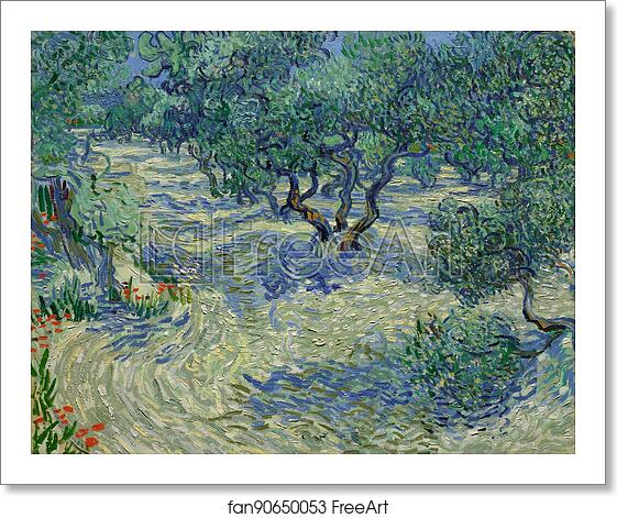 Free art print of Olive Orchard / Olive Grove by Vincent Van Gogh