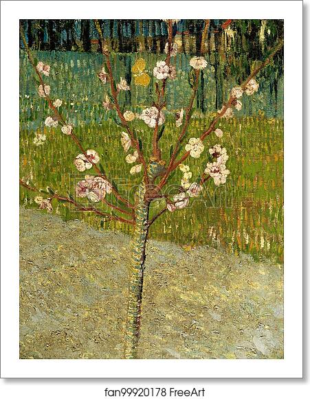 Free art print of Almond tree in blossom by Vincent Van Gogh Free art print of Almond tree in blossom by Vincent Van Gogh